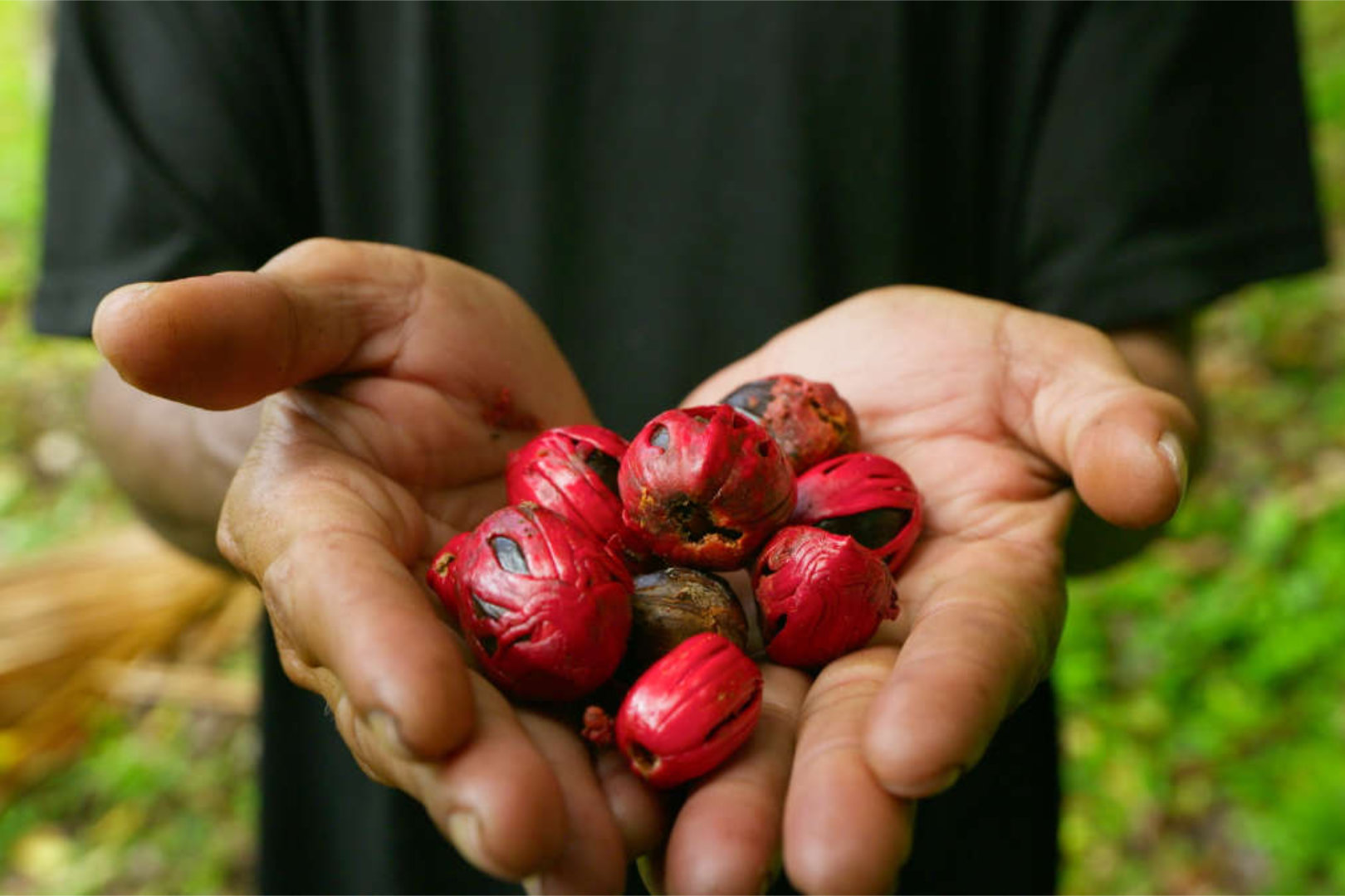 DIE ZAUBERHAFTE WELT DER GEWÜRZE | STAFFEL 1
